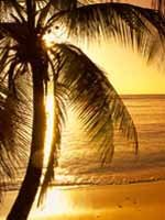 Trinidad & Tabago - Beaches