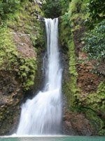 Mauritius - nature