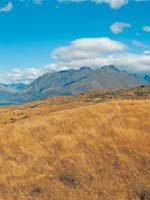 New Zealand - climate