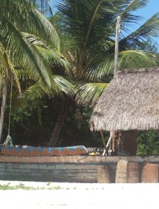 Mozambique - nature