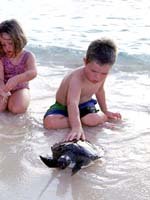 Cayman Islands - family