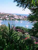 St Maarten - Nature