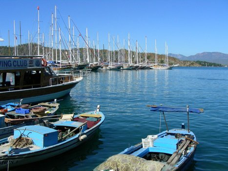 Turkey 1