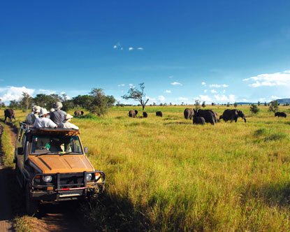 Zambia1