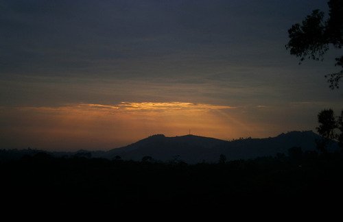 Amazing Uganda Holidays