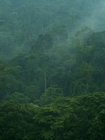 Magnificent Uganda Holidays