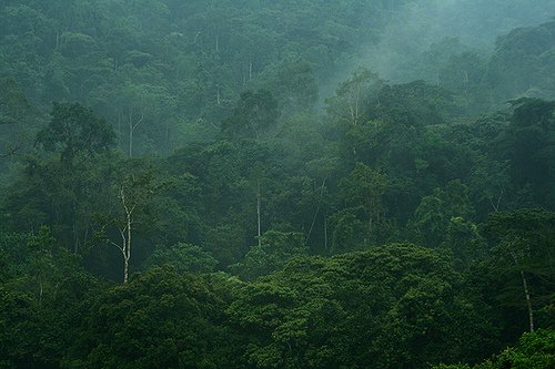 Magnificent Uganda Holidays