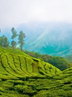 Kerala Holidays