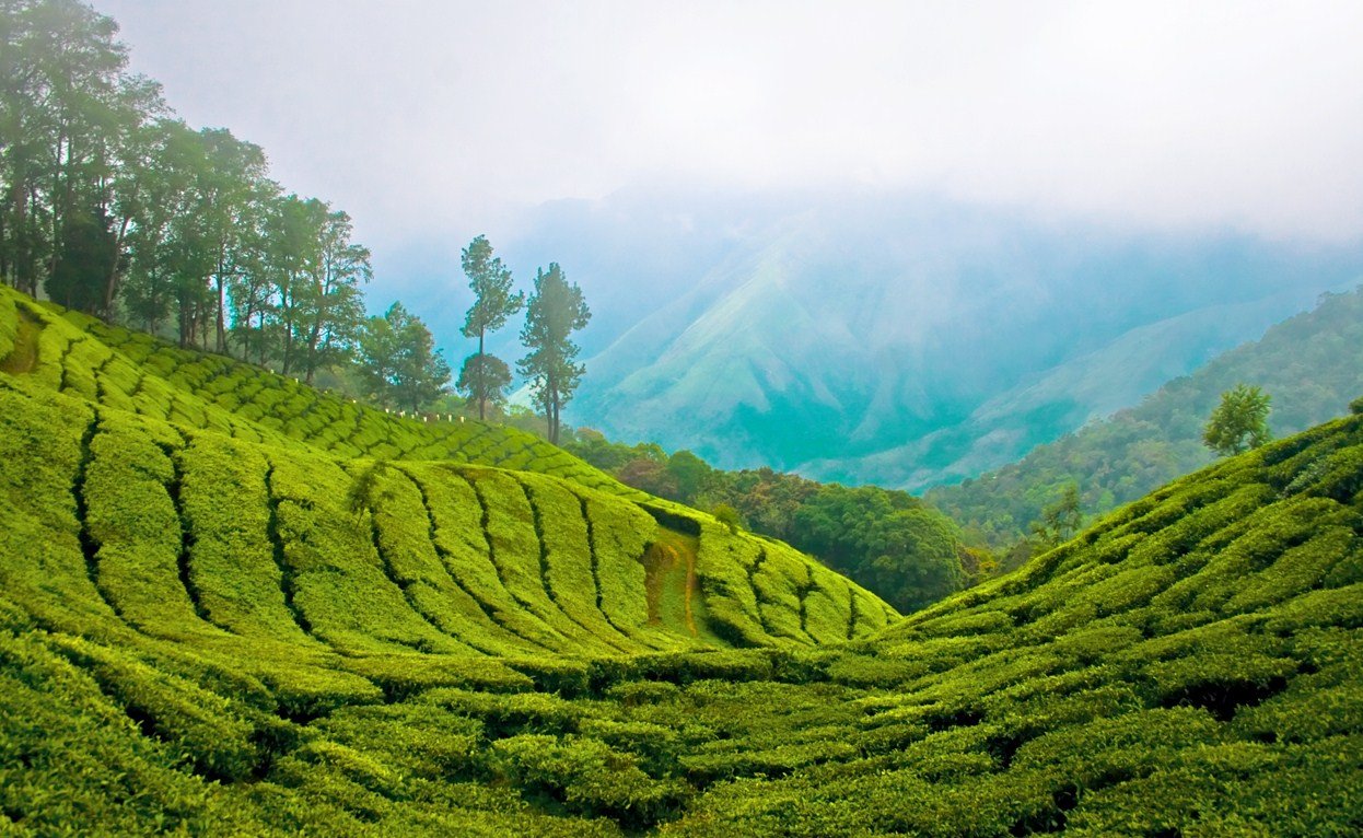Kerala Holidays
