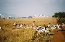 Nairobi Holiday