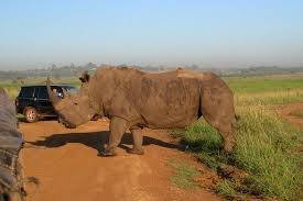 Nairobi Holiday
