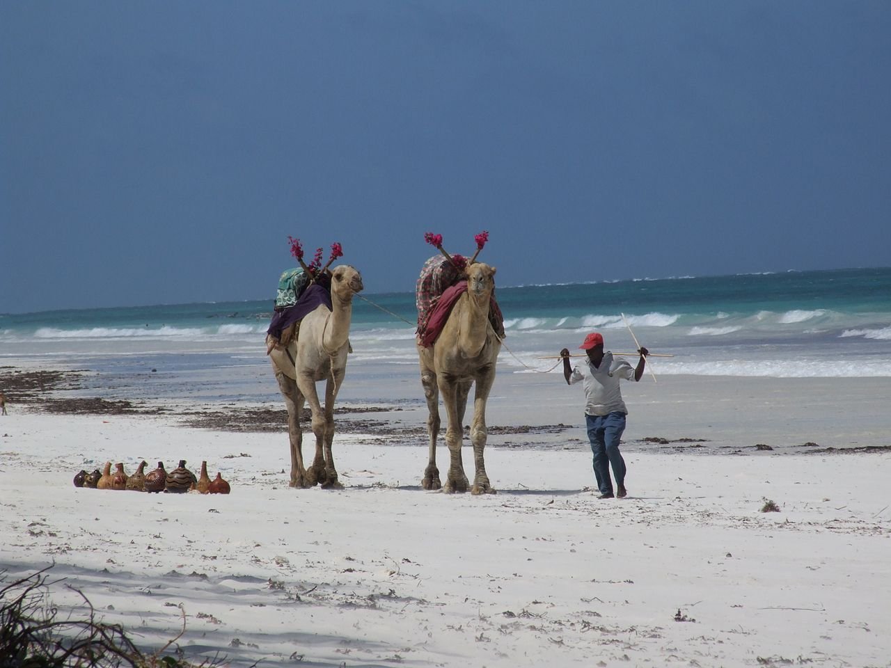 Diani Beach