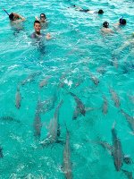 Belize Reef Holidays