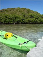 Paddles Kayaking Antigua Slide 1