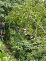 Rainforest Slide 2