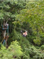 Rainforest Slide 1