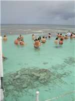 Sting Ray City Antigua Slide 1