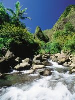 00181.Iao Needle Valley