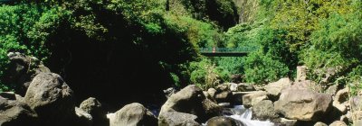 00181.Iao Needle Valley