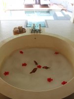 Honeymoon packages 2