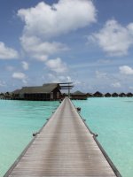 Honeymoon packages