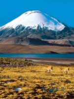 Holiday Tours - Chilie