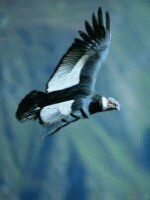 Holiday Tours - Peru