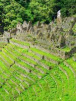 Holiday Tours - Ecuador and Inca Trail