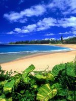 Hawaii1