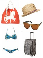 Travel Checklist2