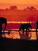 Namibia