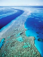 Great-barrier-reef