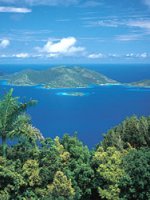 Tortola Sage Mountain British Virgin Isles