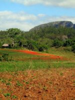 Vinales National Park, Cuba