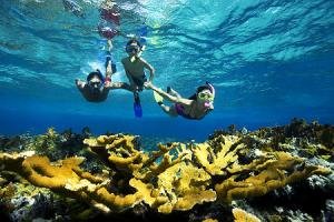 Snorkeling In Jamaica