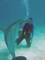 Bahamas Diving