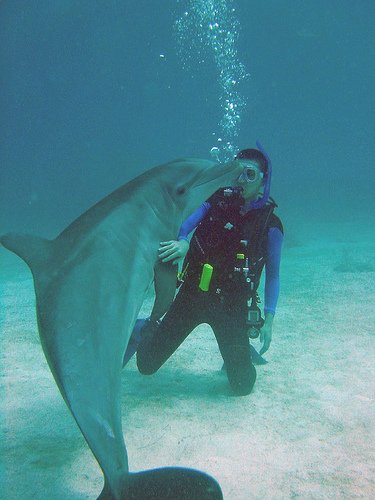 Bahamas Diving