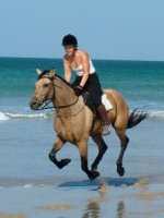 Horse riding on the beach