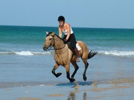 Horse riding on the beach