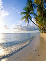 Trinidad & Tobago Beach