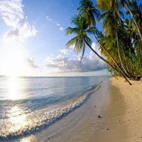 Trinidad & Tobago Beach