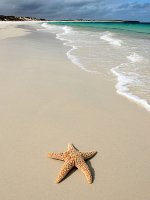 Australia Beach