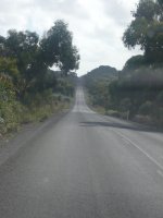 Self Drive 1