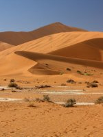 Namib-Naukluft National Park