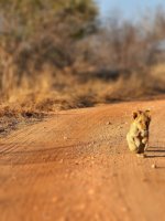 Malaria-free game reserves