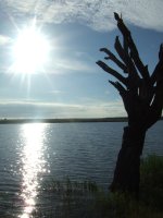 Malaria-free game reserves