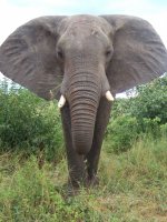 Safari and Beach Multi Centre Holidays