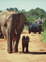 Africa and Mauritius Holidays