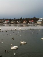 Iceland