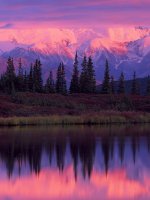 Denali National Park